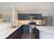 Stylish kitchen featuring stainless steel appliances, light countertops, and navy blue cabinets at 9011 Harrison Run Dr, Indianapolis, IN 46256