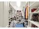 Walk-in closet with white shelving and blue carpeting at 10614 Winterwood, Carmel, IN 46032