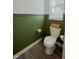 Stylish powder room featuring dark green walls, wood-like floors, and a modern toilet at 2349 Dixon Creek Dr, Whitestown, IN 46075