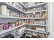 Walk-in pantry with ample shelving and storage for food, household items, and cooking accessories at 3342 Challenger Dr, Plainfield, IN 46168
