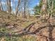 Picturesque creek meandering through a natural backyard landscape with mature trees and lush foliage at 7540 S Mooresville Rd, Indianapolis, IN 46221