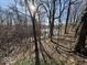 Picturesque backyard view with mature trees, offering a serene escape into nature, featuring a possible pond at 155 Boring Pl, Martinsville, IN 46151