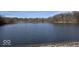Expansive lake view under a bright sky, highlighting the serene and natural setting of the property at 155 Boring Pl, Martinsville, IN 46151