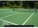 Image of the sport court, ready for tennis or pickleball at 4255 Kettering Dr, Zionsville, IN 46077