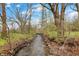 Picturesque creek flowing through a wooded area, enhancing the natural beauty of the property at 450 W Ash St, Zionsville, IN 46077