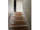 Interior view of a damaged stairway with missing carpet and exposed wood, indicative of needed repairs at 6009 Tammin Dr, Indianapolis, IN 46254