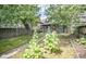 Backyard featuring mature trees, a garden area, grass and a walkway to the back door at 615 E Morris St, Indianapolis, IN 46203
