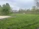Expansive backyard featuring a well-maintained lawn and wooden fence at 8551 Belle Union Ct, Camby, IN 46113