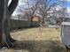 Overgrown backyard with bare trees, wooden fence and shed at 942 N Oxford St, Indianapolis, IN 46201