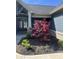 Well-manicured front yard featuring a beautiful red Japanese maple tree and landscaped flower beds at 2145 W Bedrock Ln, Greenfield, IN 46140