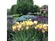 Vibrant yellow irises and purple salvia flowers in the landscaped garden near the lake at 3849 Waycross Dr, Columbus, IN 47203