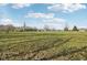 Spacious backyard featuring a large grassy area and mature trees under a blue, partly cloudy sky at 2525 Sunderland Dr, Martinsville, IN 46151