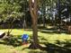 Spacious backyard featuring swing hanging from mature tree and fenced-in yard at 7336 Hardin Oak Dr, Noblesville, IN 46062