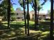 Expansive backyard featuring lush green lawns, mature trees, and a screened-in porch area at 7336 Hardin Oak Dr, Noblesville, IN 46062
