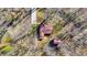 Birds eye view of a home nestled among trees, with a red roof, a shed, and a long driveway at 7916 W 275 N, Boggstown, IN 46110