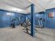 Finished basement featuring a variety of workout equipment including a treadmill and bike at 108 Parkridge Dr, Danville, IN 46122