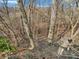 A wooded lot with several trees is featured in this real estate listing image at 108 Parkridge Dr, Danville, IN 46122