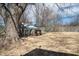 Large backyard area with mature trees and a chicken coop, offering plenty of space for outdoor activities at 311 S Webster Ave, Indianapolis, IN 46219