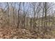 Scenic woodland path with natural steps, surrounded by trees and foliage at 3357 Saddle Club Rd, Greenwood, IN 46143