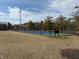 A fenced-in blue and green tennis court sits behind bare trees in the community at 4291 Village Parkway W Cir # 3, Indianapolis, IN 46254