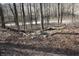 Backyard of the property, showing the trees, leaves, and sloping landscape at 4478 W County Road 125 S, Greencastle, IN 46135