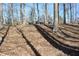 View of the treed land and natural surrounding landscape of this property at 4478 W County Road 125 S, Greencastle, IN 46135