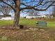 Serene backyard with a large tree, swing bench, and lush greenery, perfect for relaxation at 1418 E Maple Dr, Shelbyville, IN 46176