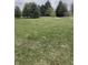 Expansive grassy backyard with mature trees at 6816 Russett Dr, Plainfield, IN 46168