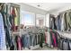 Bright walk-in closet with built-in shelving and two windows, offering ample storage and natural light at 7254 Cambridge Pl, Avon, IN 46123