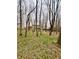 Expansive backyard featuring a small storage shed, mature trees, and green grass at 1426 Ripplewood Dr, Danville, IN 46122