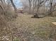 Overgrown backyard area with trees and debris, next to a dilapidated house at 1724 Sheldon St, Indianapolis, IN 46218