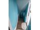 Stairs leading to the basement, showing blue painted walls at 3035 Graceland Ave, Indianapolis, IN 46208