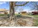 Outdoor picnic area with a quaint picnic table nestled in the backyard, shaded by a mature tree at 298 Northridge Dr, Mooresville, IN 46158