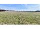 Spacious front yard showing a large field and glimpses of the surrounding landscape at 3451 N County Road 100 E, Danville, IN 46122