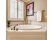 Close-up of a luxurious bathtub with stylish fixtures and a large window with shutter blinds at 4030 Statesmen Dr, Indianapolis, IN 46250