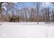 A snow-covered backyard with bare trees provides a secluded and serene outdoor space at 98 Highland Manor S Ct, Indianapolis, IN 46228