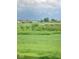 Expansive green backyard view featuring distant barn and open fields at 14241 Antiquity Dr, Carmel, IN 46033
