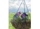 Close-up of colorful hanging flower basket with picturesque backyard view at 14241 Antiquity Dr, Carmel, IN 46033