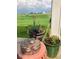 Relaxing outdoor area with potted flowers and scenic backyard views at 14241 Antiquity Dr, Carmel, IN 46033