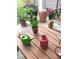 Charming patio table setting with potted plants, decorative lanterns, and a watering can at 14241 Antiquity Dr, Carmel, IN 46033