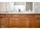 Bathroom with dual sinks, wood cabinets, and decorative accents at 3168 Lodgepole Dr, Whiteland, IN 46184