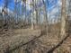 Wooded property with mature trees, offering a private and natural setting at 21977 Craig Ave, Noblesville, IN 46060