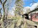 Overgrown backyard with weathered shed and overgrown trees at 2505 E 17Th St, Indianapolis, IN 46218