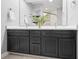 Close-up of a bathroom with a double vanity and sleek countertops at 11941 Sand Dollar Cir, Indianapolis, IN 46256