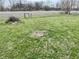 A spacious backyard featuring lush green grass, a chain-link fence, and mature trees in the distance at 128 Mulberry Rd, Anderson, IN 46017