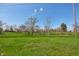 Picturesque backyard with lush green grass, trees, and open space on a sunny day at 138 President W Trl, Indianapolis, IN 46229