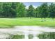 Beautiful golf course with a golfer, trees, and water hazard on a sunny day at 3989 Birkdale Dr, Carmel, IN 46033