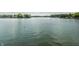 View of the lake with serene water at 1326 White Water Ct, Cicero, IN 46034