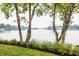 Scenic lake view framed by birch trees and colorful flowers, creating a peaceful and inviting atmosphere at 1326 White Water Ct, Cicero, IN 46034