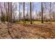 View of the house from the wooded backyard, featuring mature trees for added privacy and a connection to nature at 552 E 82Nd St, Indianapolis, IN 46240